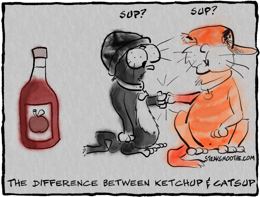 Ketchup vs Catsup